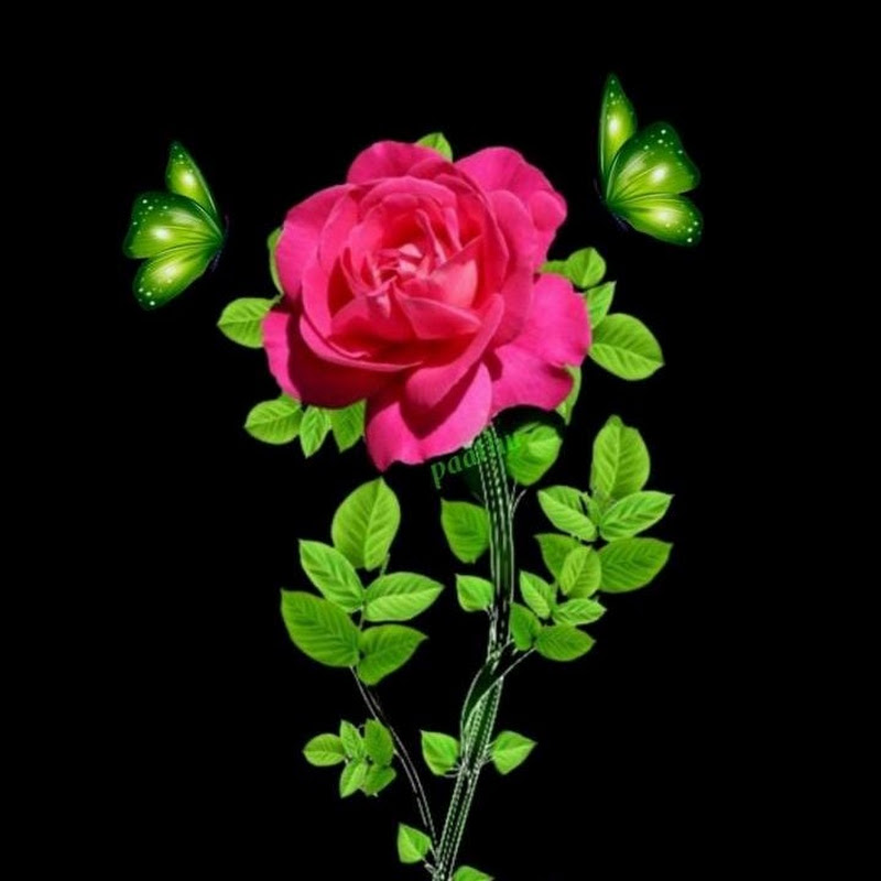 Mallu kidilan family