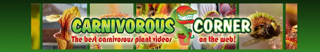 Carnivorous Corner YouTube channel avatar