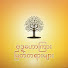 R7_X_0zY5tY-channel-avatar-ဗုဒ္ဓဟောကြား မြတ်တရားများ | Pure Dhamma Mind