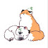 LZRBcvFVKjw-channel-avatar-🅠︎h͓̽a͓̽i͓̽m͓̽a͓̽n͓̽_🦊