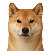 シバリーク【ネットの反応】