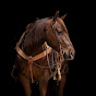 Superior Horse Auction logo