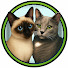 5X47raM821A-channel-avatar-Our Catio Home