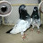 @ustadfaridkhanpigeons3444