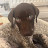 @Football_player3-w7o