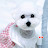 @상욱이-u2c