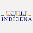 L_OX2y4vuMs-channel-avatar-Cátedra Indígena Depto de Antropología UChile