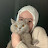 @كتكوته-ح6ض