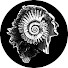 J-FcRsXQpos-channel-avatar-Etai Atula