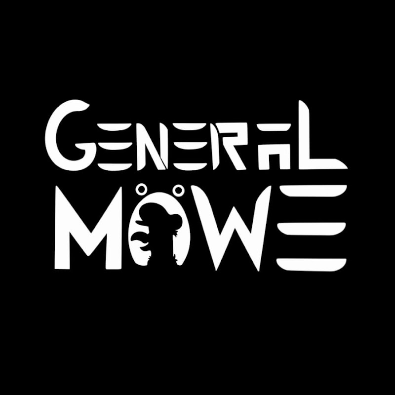 General Möwe