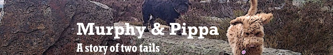 Murphy & Pippa YouTube 频道头像