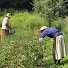 r8ay5oc6MRg-channel-avatar-Gathering Basket Homestead
