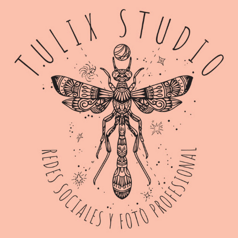 Tulix Studio Mx