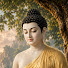 bkkSAwpRMoQ-channel-avatar-    Lời Phật Bên Đời