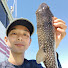 M6sTWMf95Ls-channel-avatar-へっぽこ釣り師の釣行記