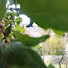 cSlajAd-QP8-channel-avatar-peaceful village