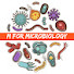 wxf0kJFl3y0-channel-avatar-M For Microbiology