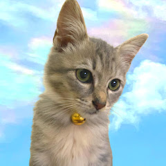 猫のくつろぎ  ~Relaxing Cats~