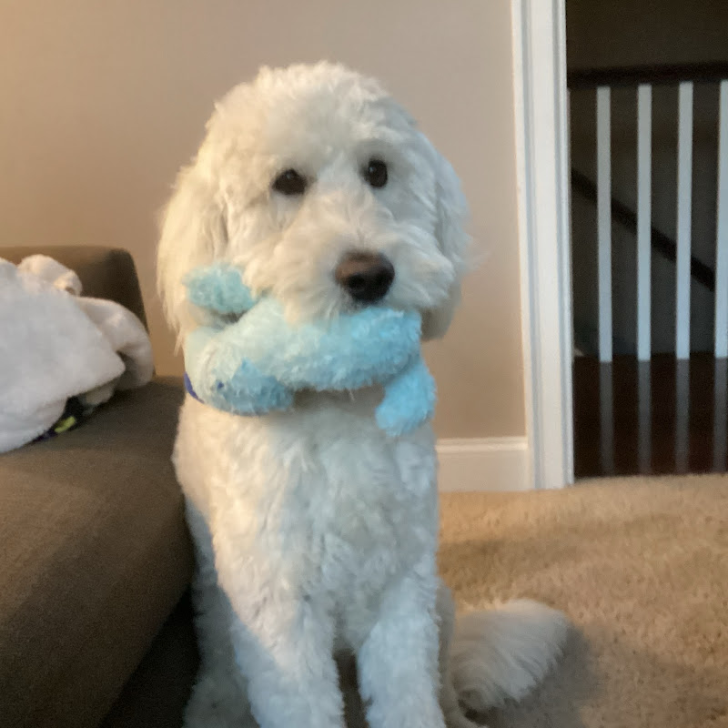 Murphy editz