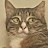 avatar of @meowbip14rarw