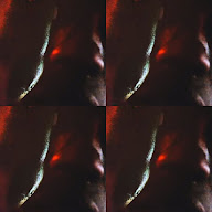 thumbnail img1x1