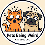 Pets Being Weird