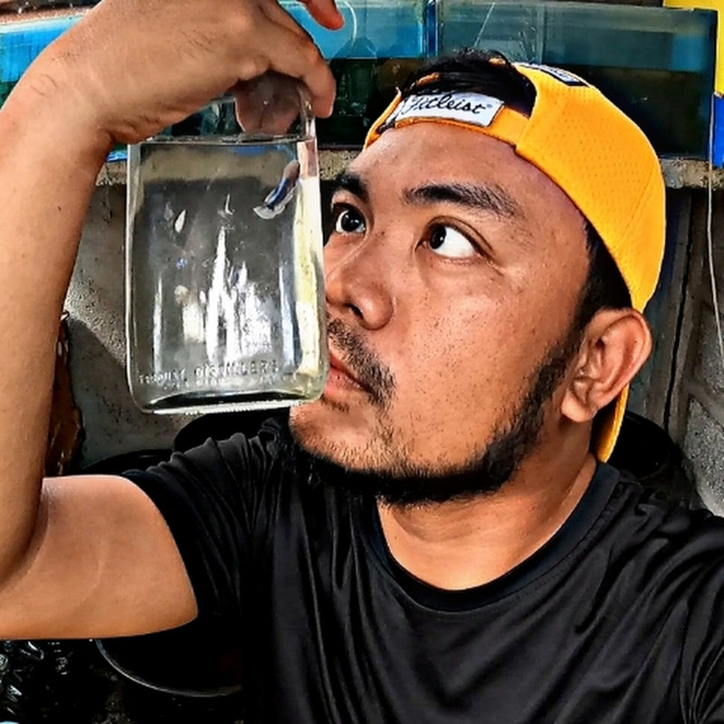 Monching's  Aqua World