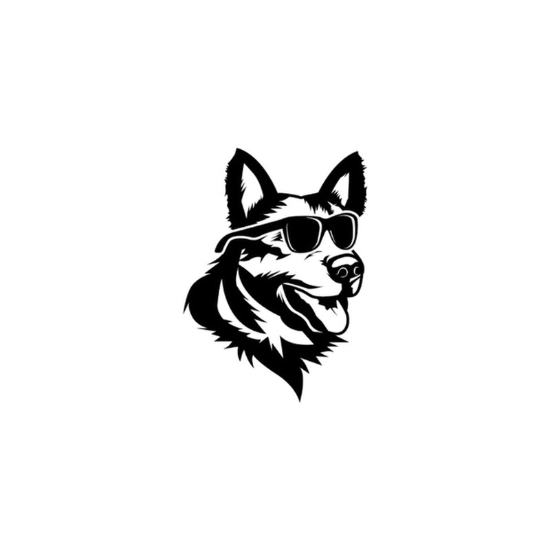 The World of Paws German Shepherds 