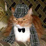 KD_6zYqOgsc-channel-avatar-DigoDinn
