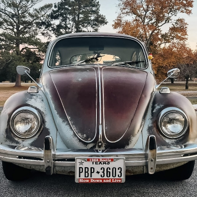 Daily Patina Beetle