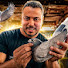 Cgnfo8iknpo-channel-avatar-الحمام مع ابو يونس