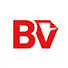 vz-jp-GylbU-channel-avatar-Binge Veil