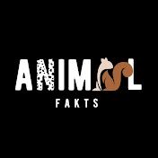Animal Fakts