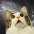 9IrILARZ46s-channel-avatar-Wawa