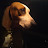 @Coondoghandlerdominik Avatar