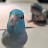 youtube avatar