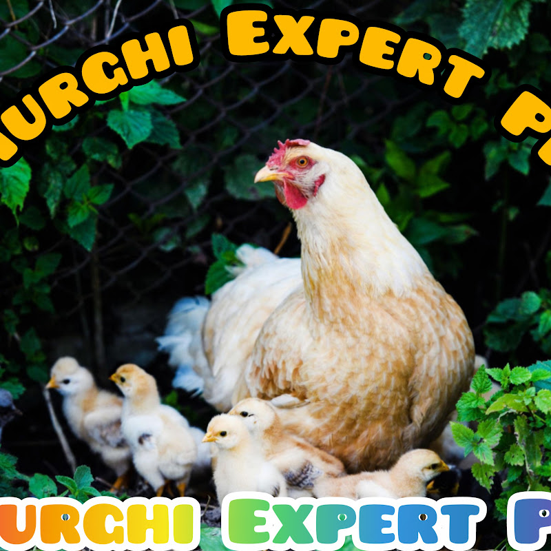 Murghi Expert PK