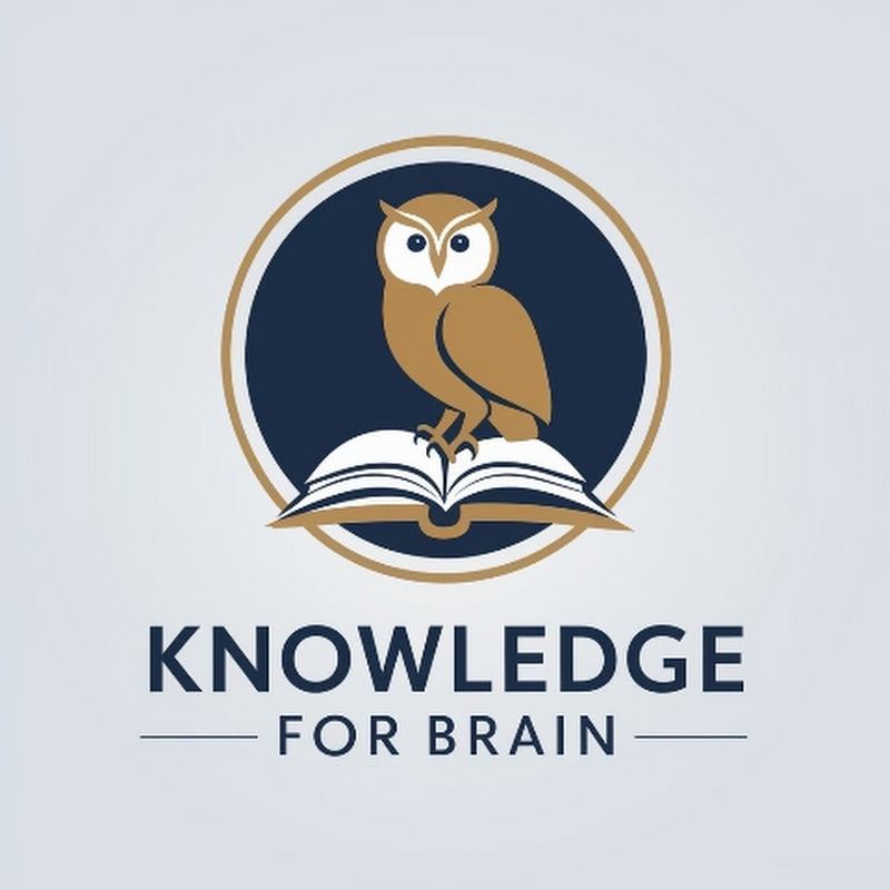 Knowledge For Brain