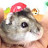 ゆたこ