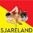ef7GLW5T5IA-channel-avatar-Koning Sjarel Tv