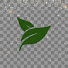 F1fsYT9Np_4-channel-avatar-Cuts