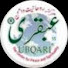 Dww74YkOw5o-channel-avatar-ubqariwazaif99