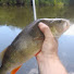 p7wfQOByml0-channel-avatar-Fish With Steve