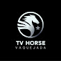 HORSE VAQUEJADA