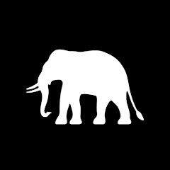 THAIBIZ /タイビズアイコン画像