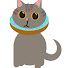 lXagjlZSShY-channel-avatar-catgamer67