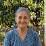 nZKlGeSEnWo-channel-avatar-Horta da Zefinha and 3 more