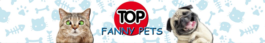 Top funny pets YouTube channel avatar
