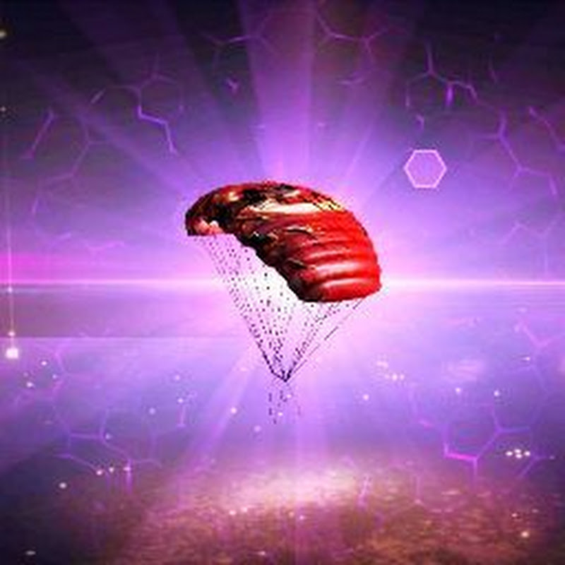 Brazil Server avatar