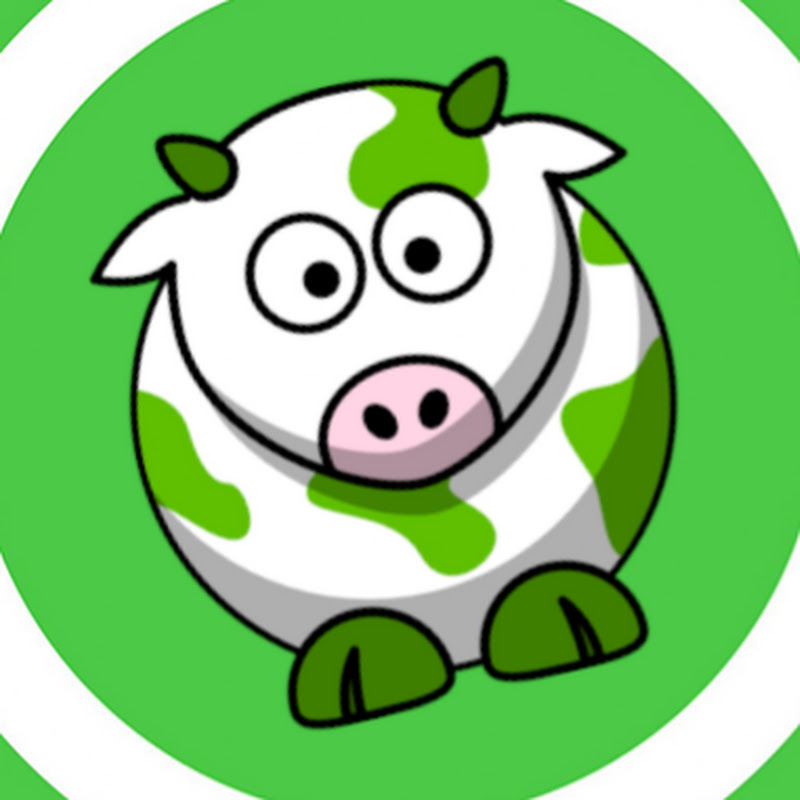 All About Bitcoin Cash